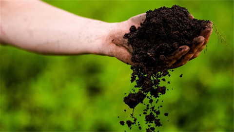 Holding dirt